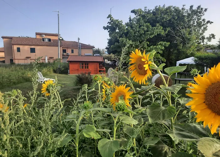 Residence Il Tiglio