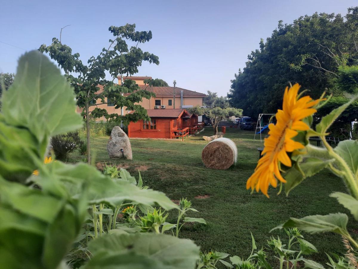 Il Tiglio Bed & Breakfast