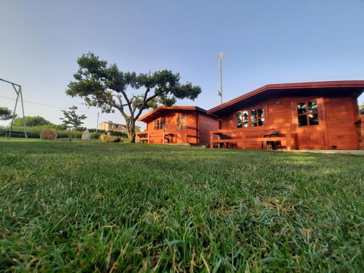 Bed & Breakfast Il Tiglio 3*