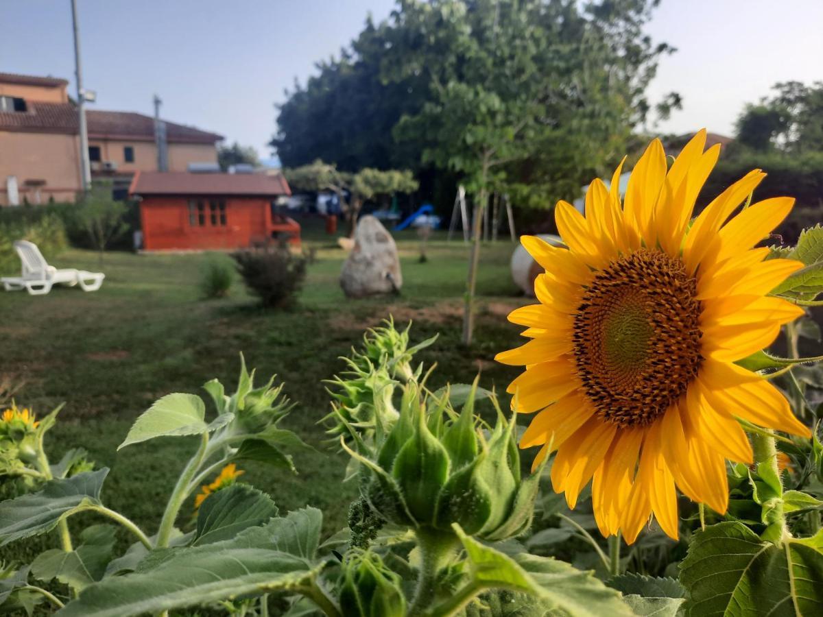 Il Tiglio 3*