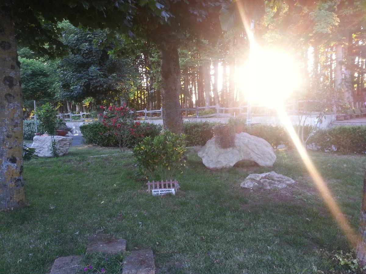 Bed & Breakfast Il Tiglio